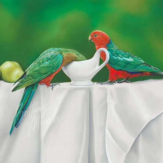 artwork of two king parrot birds in a still life composition