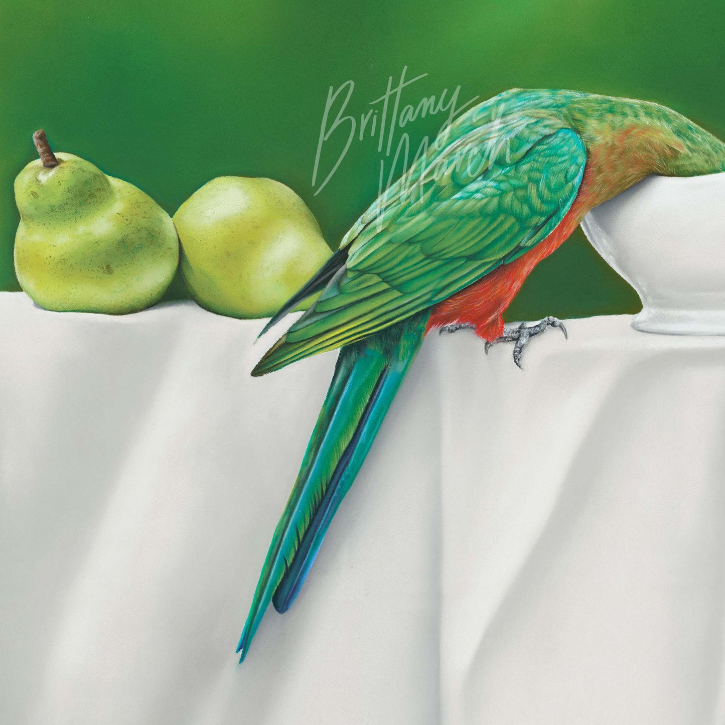 artwork of two king parrot birds in a still life composition