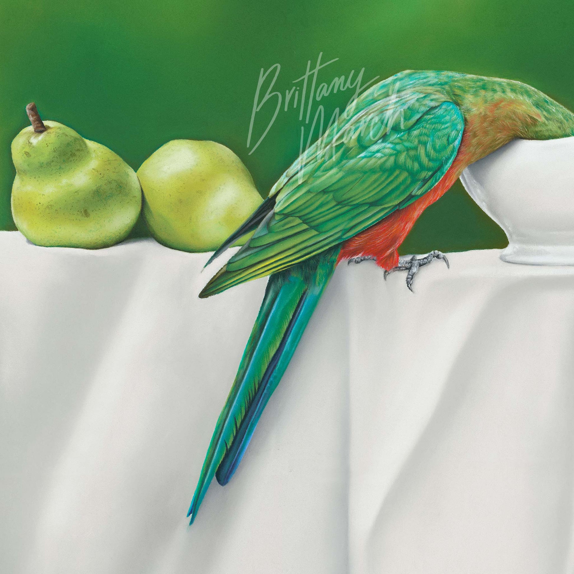 artwork of two king parrot birds in a still life composition