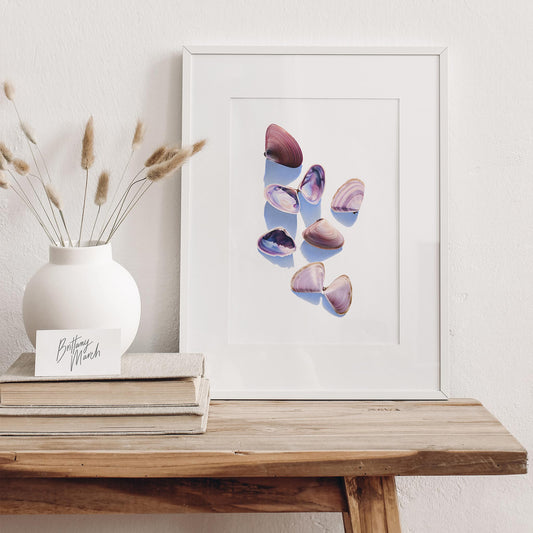 Goolwa Pipi Still Life Artwork | Limited Edition Print