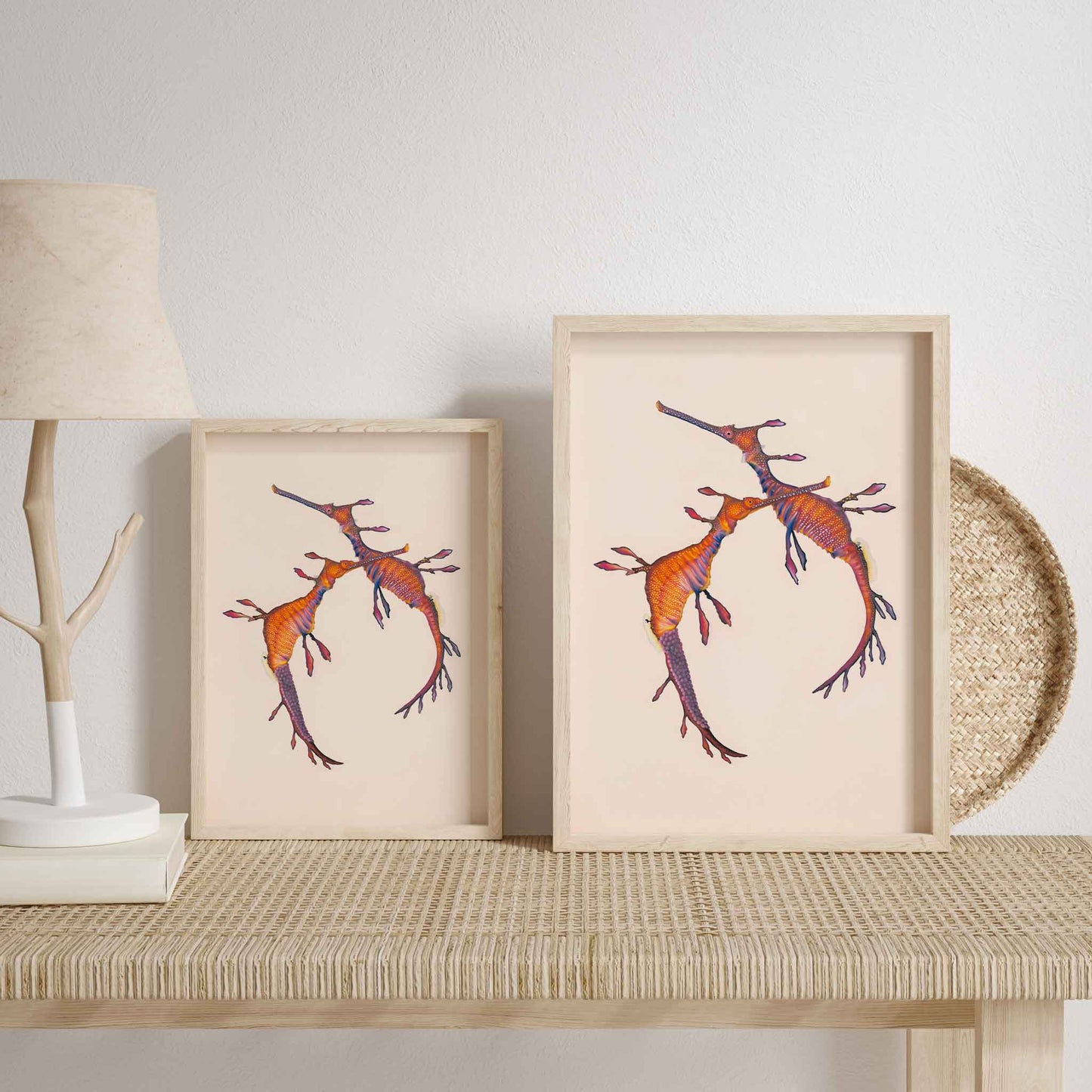 Weedy seadragon artwork. Pair of weedy sea dragons with eggs by Australian marine life artist Brittany March, shown in a frame.