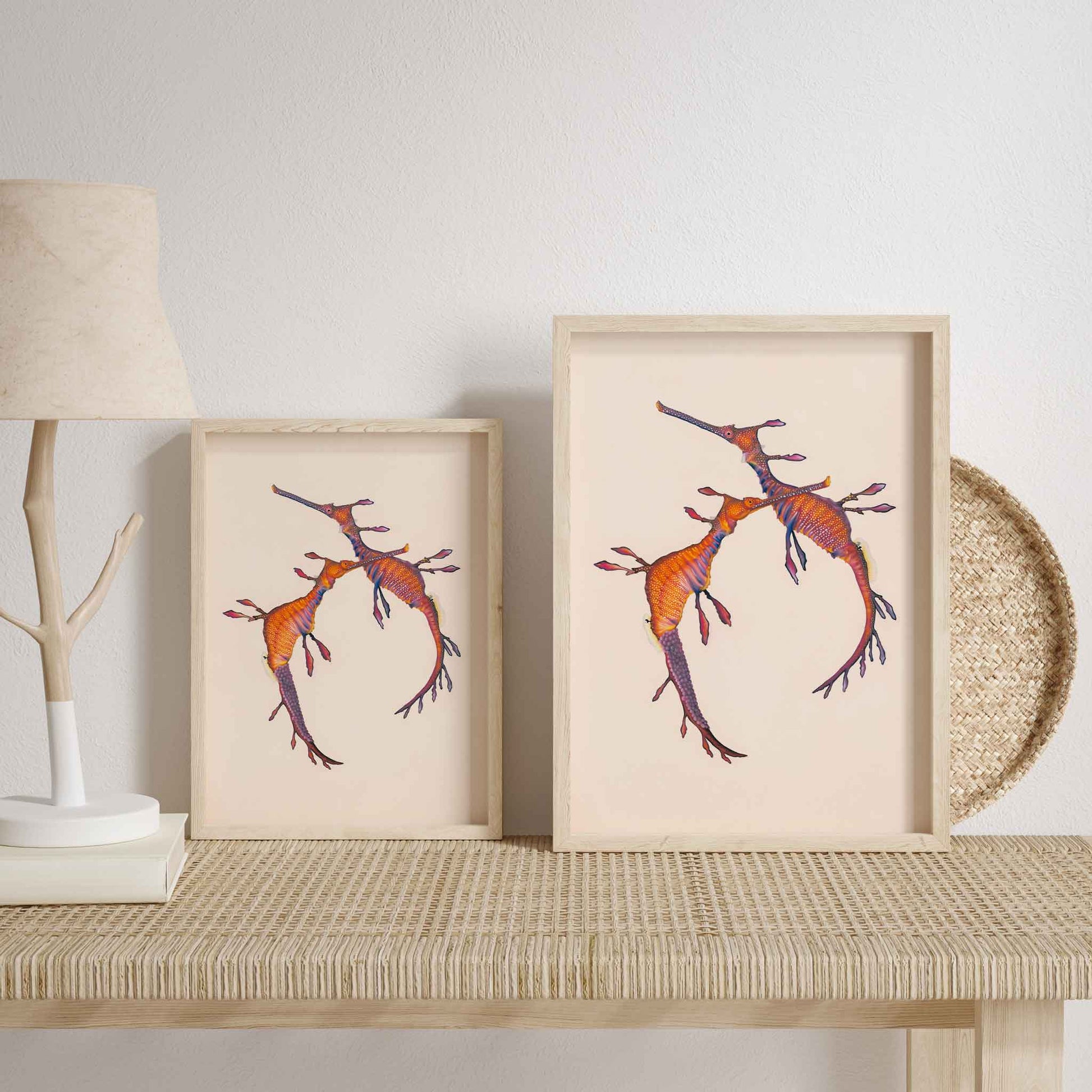 Weedy seadragon artwork. Pair of weedy sea dragons with eggs by Australian marine life artist Brittany March, shown in a frame.