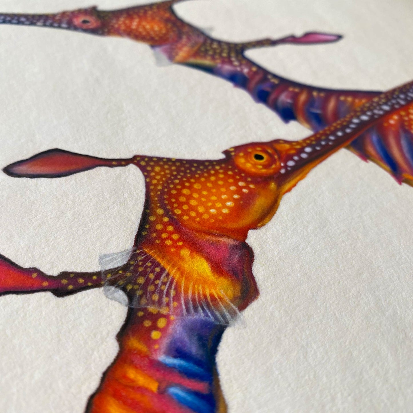 Weedy Seadragon Pair | Limited Edition Print
