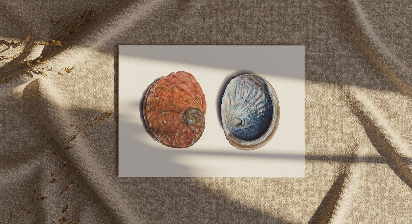 Abalone Shell Artwork | Limited Edition Print