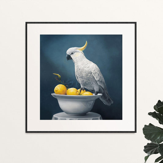 Cockatoo - Professionally Framed Limited Edition Print