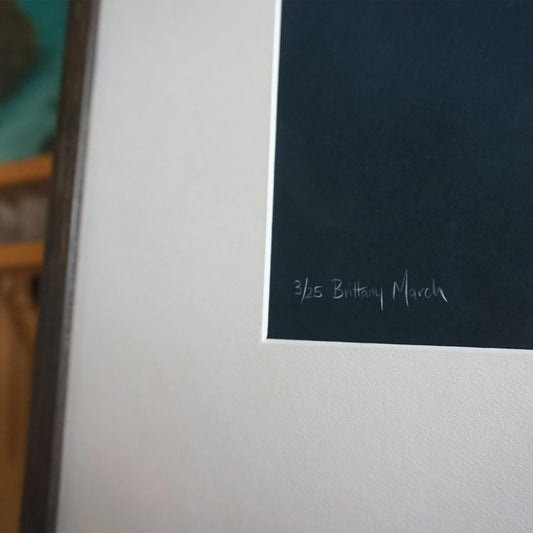 Cockatoo - Professionally Framed Limited Edition Print