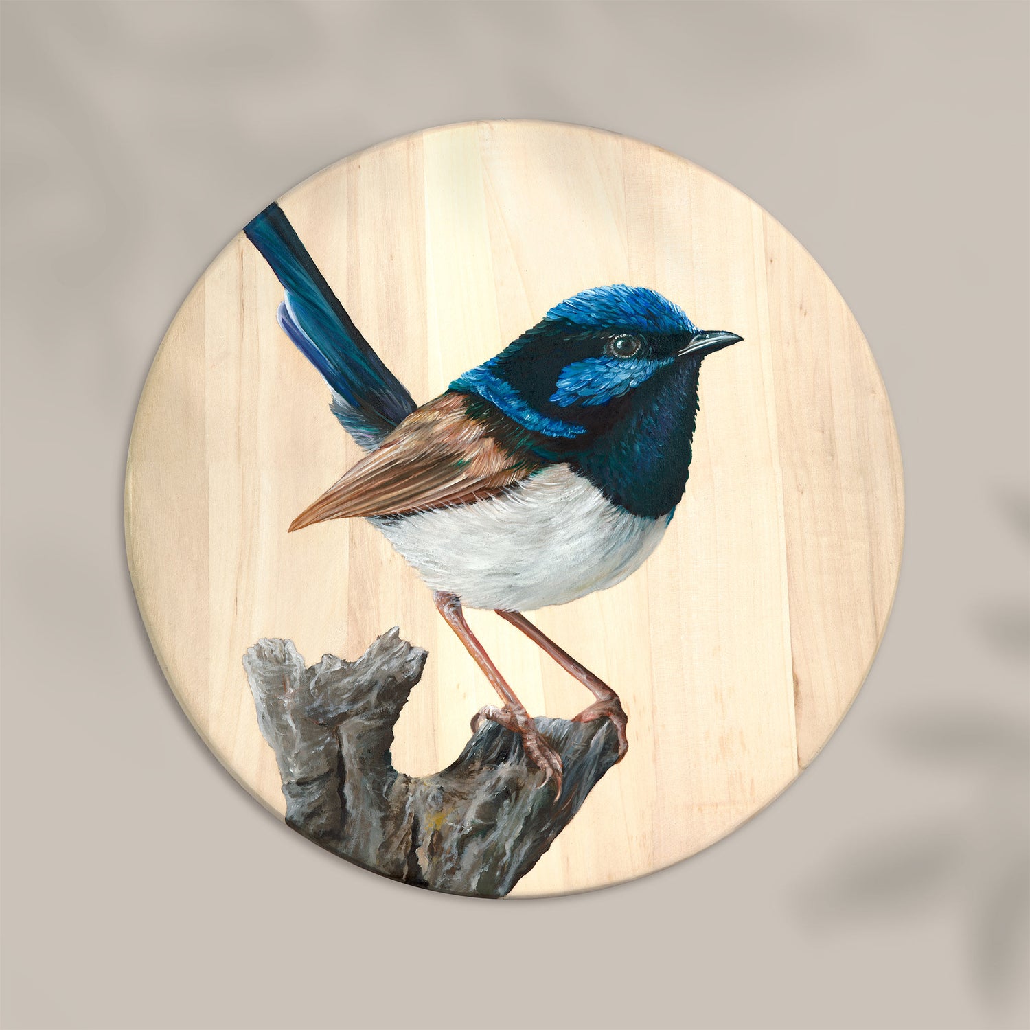 Original superb fairy wren artwork created in oil paint on a round wood panel. A native Australian bird artwork by Brittany March