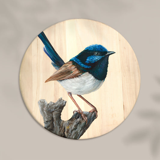 Original superb fairy wren artwork created in oil paint on a round wood panel. A native Australian bird artwork by Brittany March
