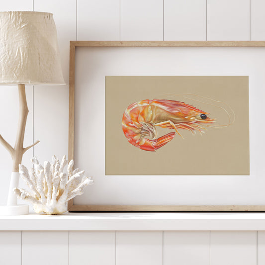 King Prawn | Fine Art Print