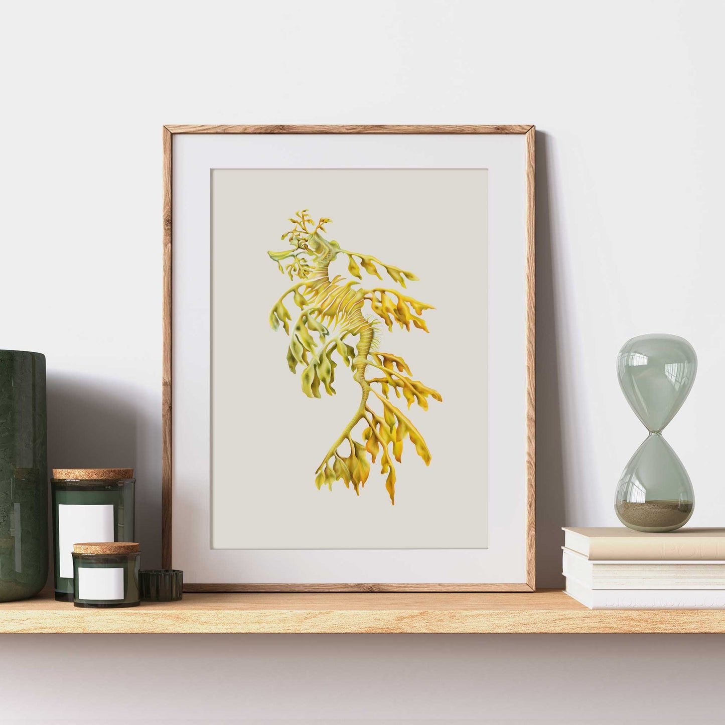 Leafy Seadragon | Fine Art Giclée Print