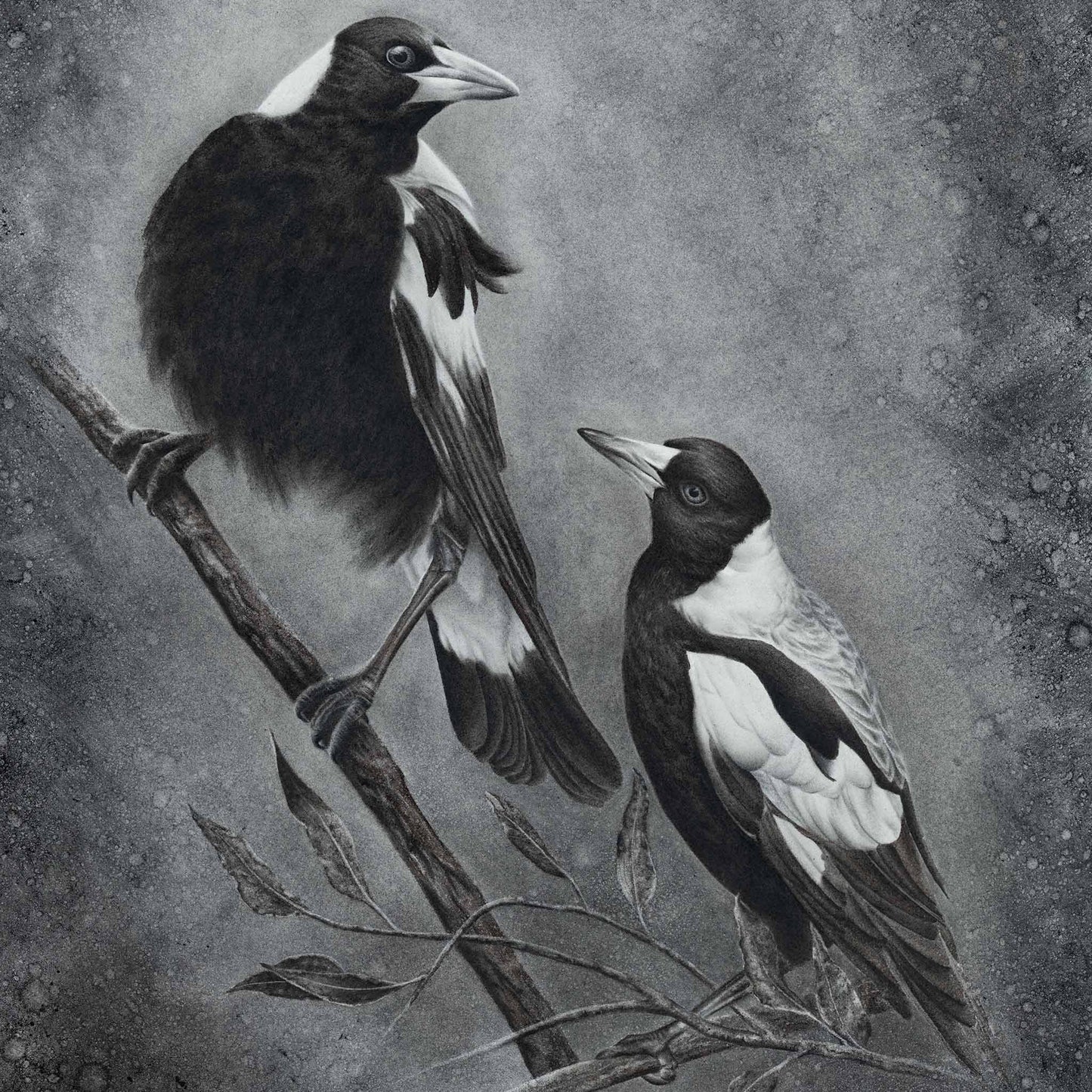 magpie artwork