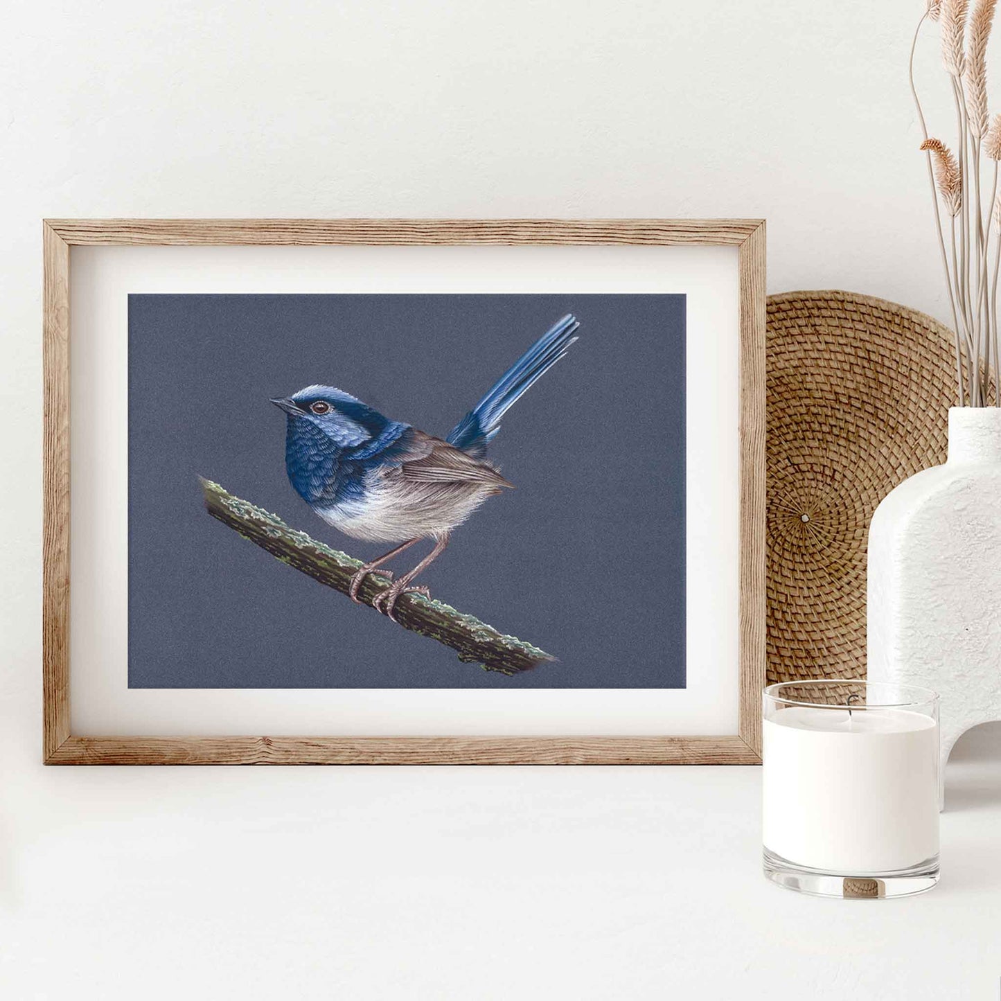 Superb Fairy-wren artwork