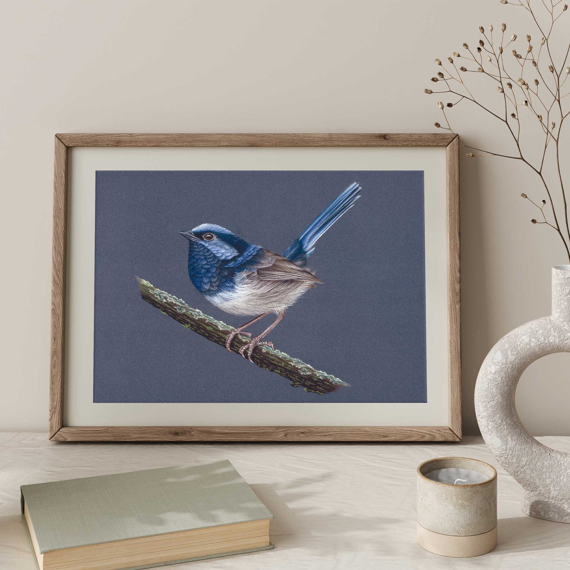 Superb Fairy-wren artwork