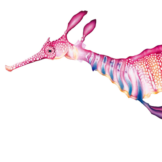 weedy seadragon artwork