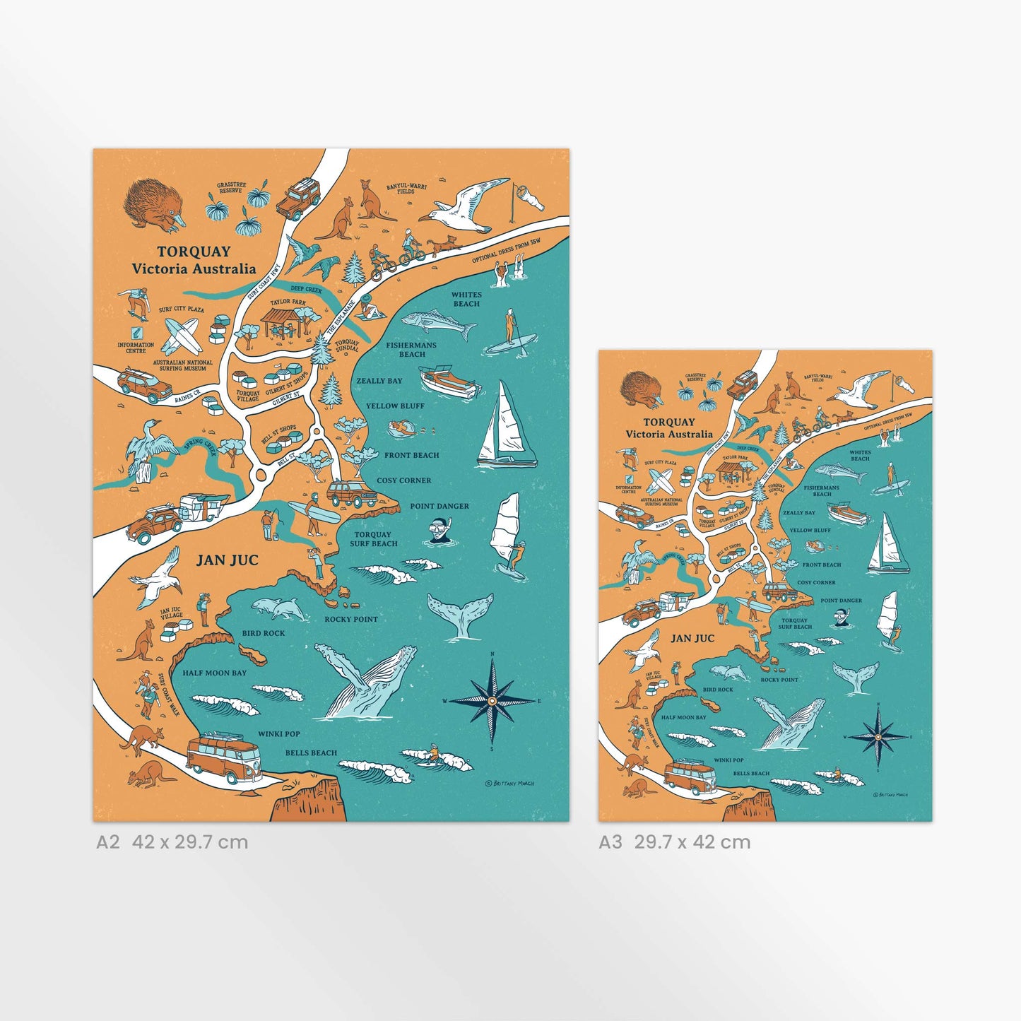 Torquay & Jan Juc | Illustrated Map