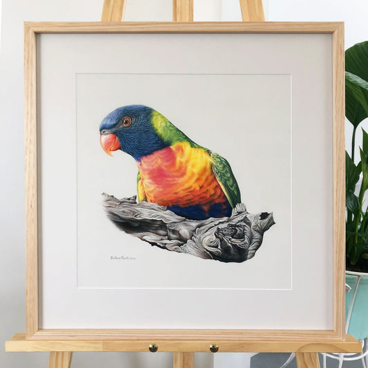 Rainbow Lorikeet Original Artwork