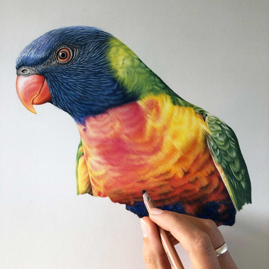 Rainbow Lorikeet Original Artwork