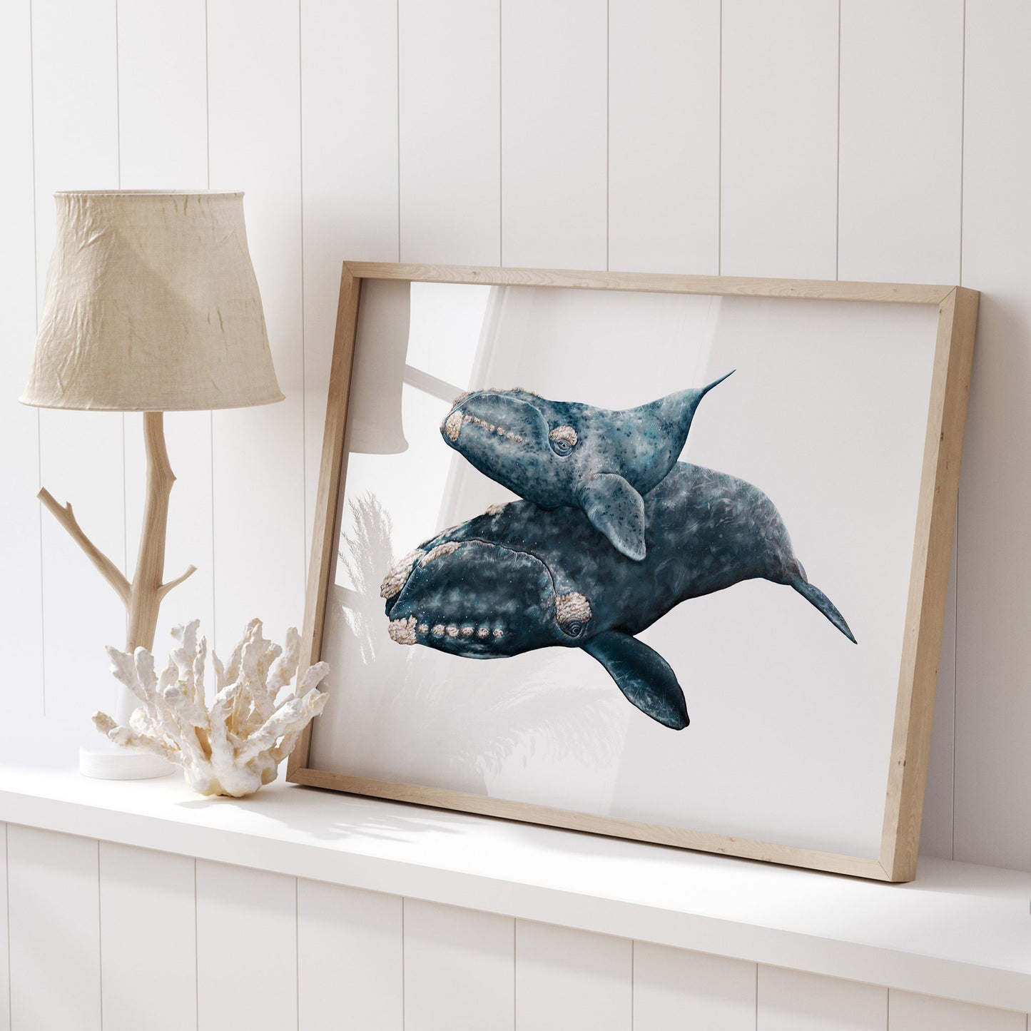 Southern Right Whales, Mother & Calf | Limited Edition Print