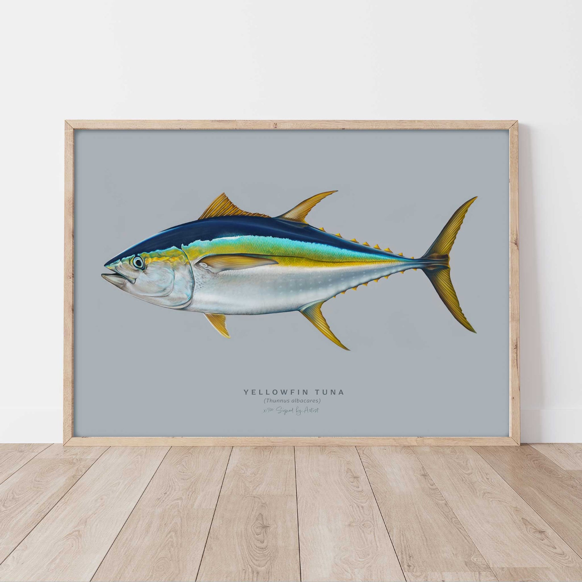 Yellowfin Tuna (Thunnus Albacares) Artwork by Brittany March