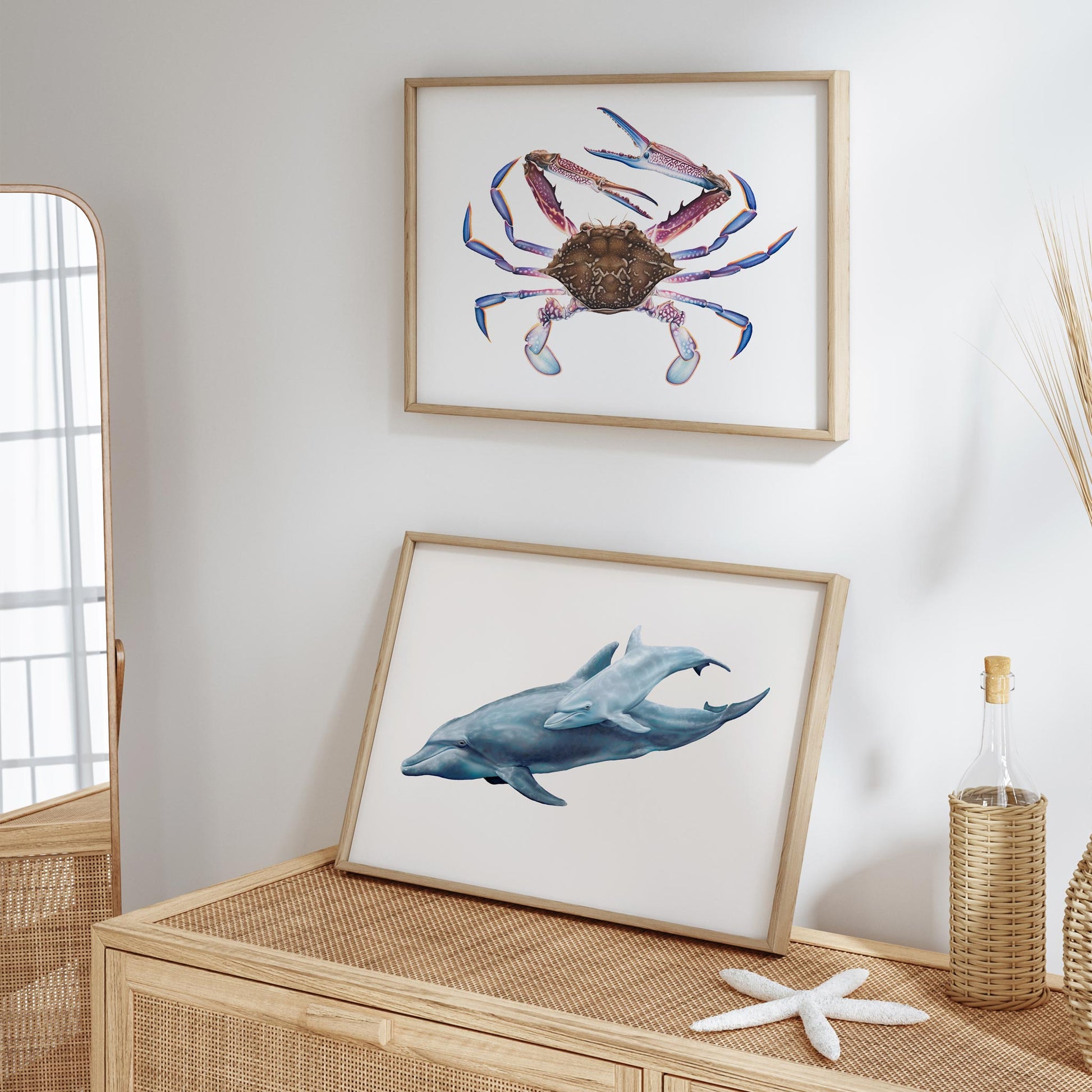 bottlenose dolphin artwork and blue swimmer crab artwork