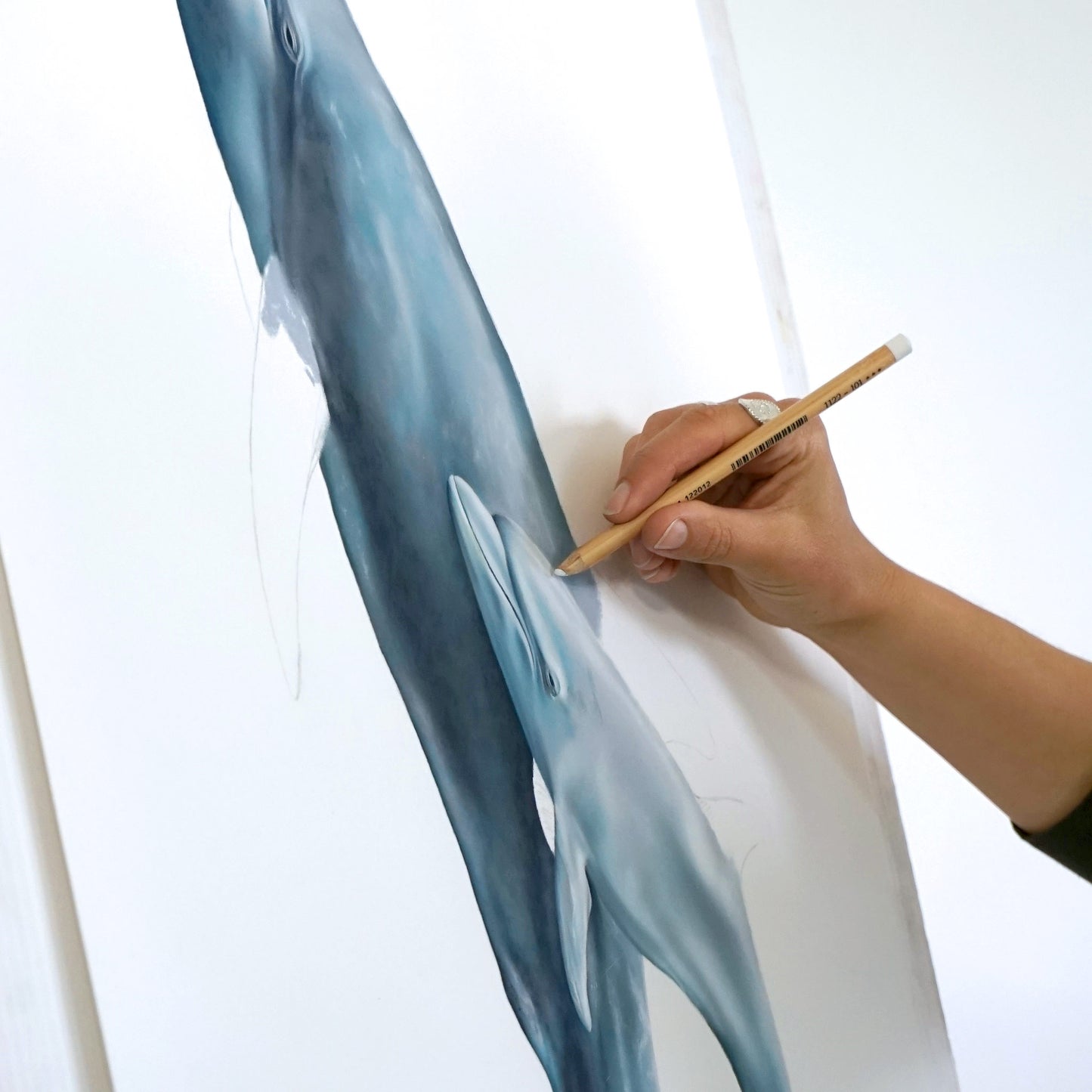 artwork of bottlenose dolphin being created
