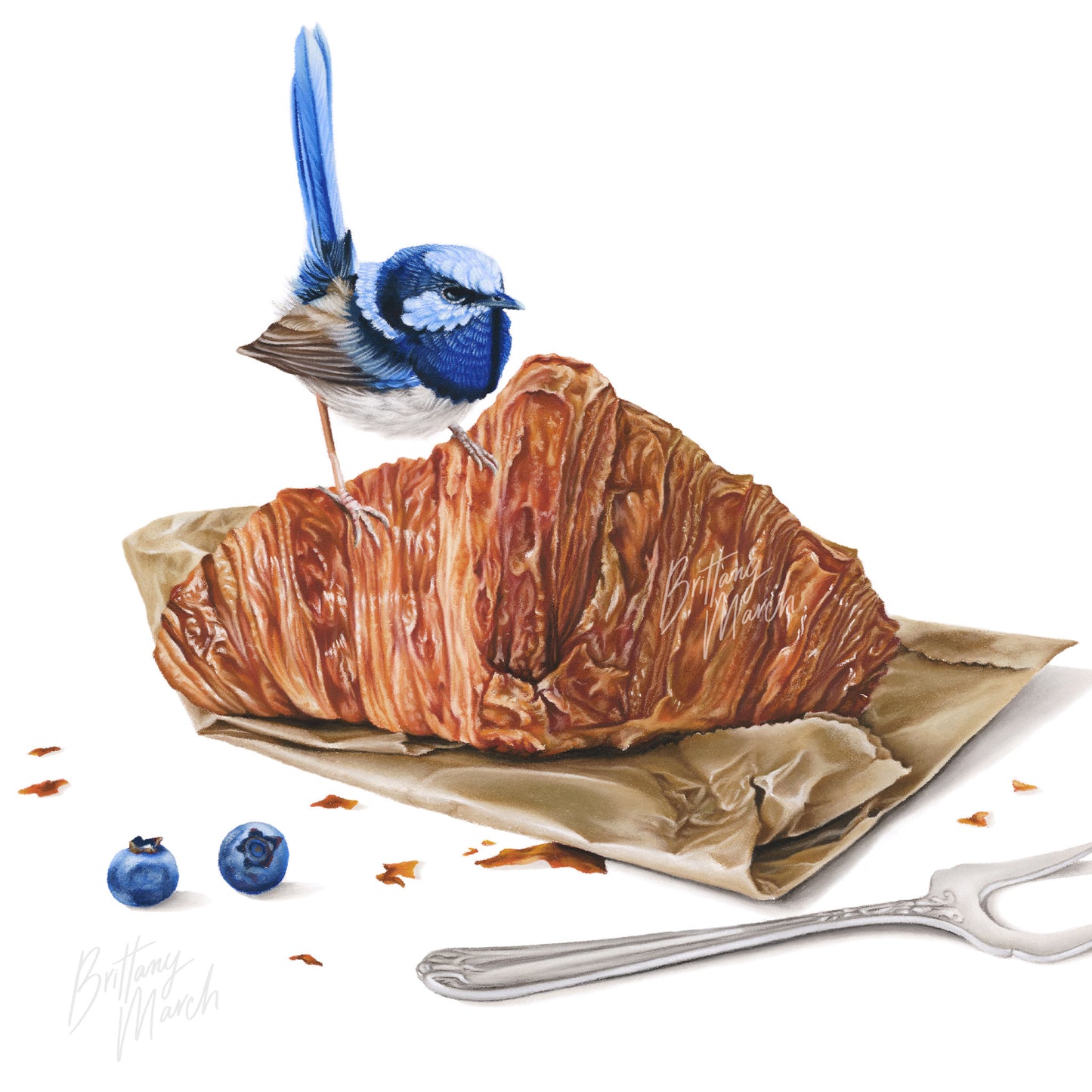 Fairy-wrens and Croissant, "A Not so Still Life" Collection | Limited Edition Print