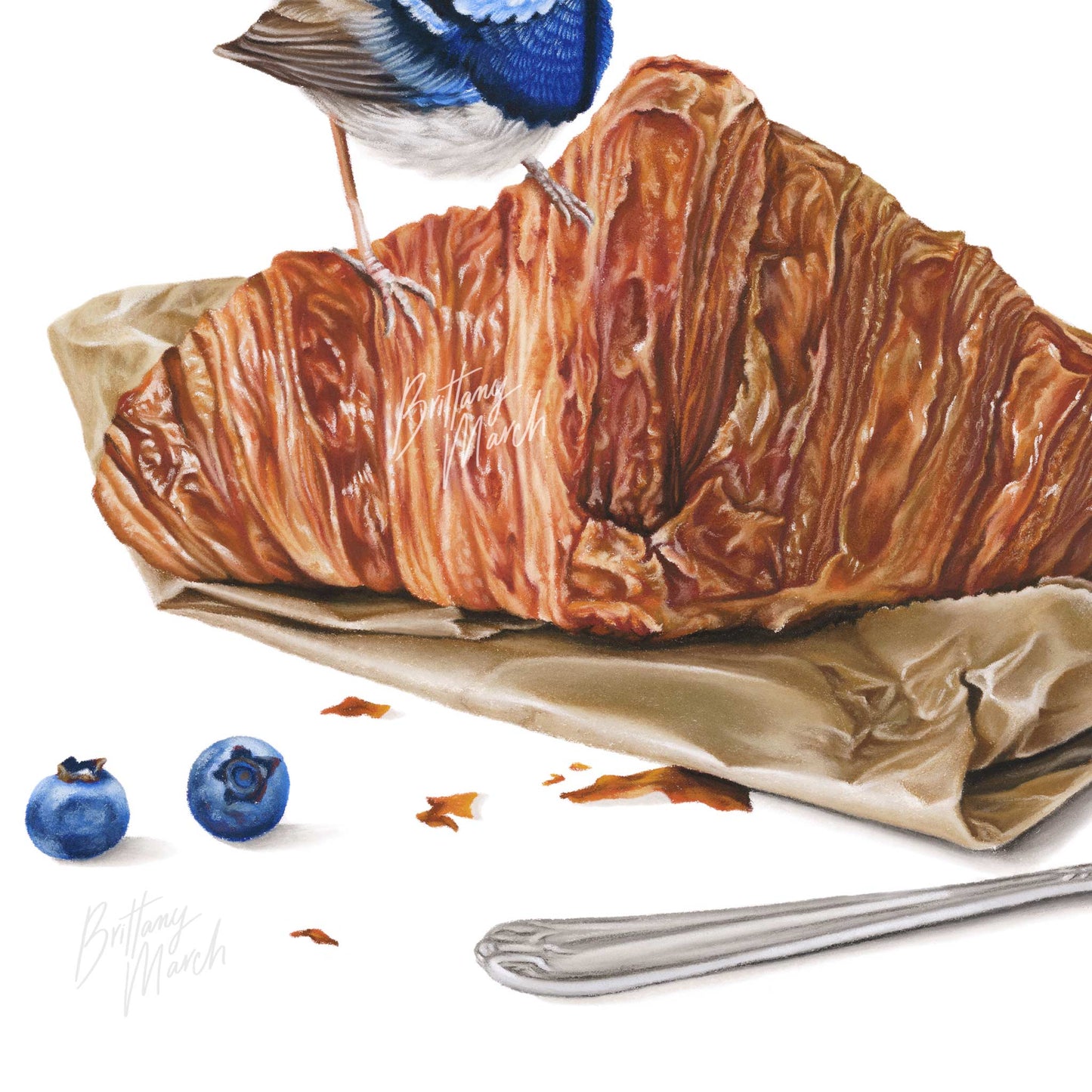 Fairy-wrens and Croissant, "A Not so Still Life" Collection | Limited Edition Print