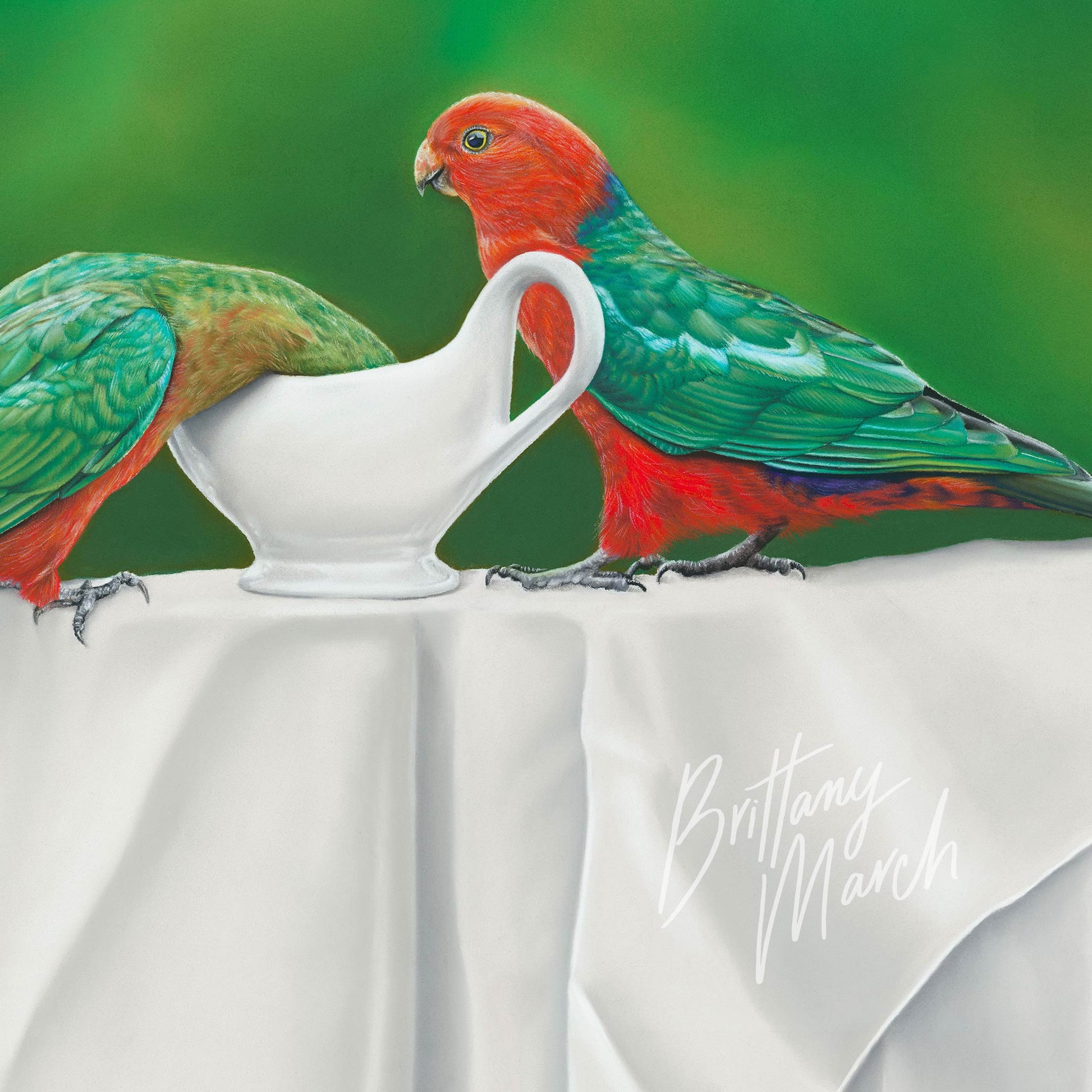 artwork of two king parrot birds in a still life composition
