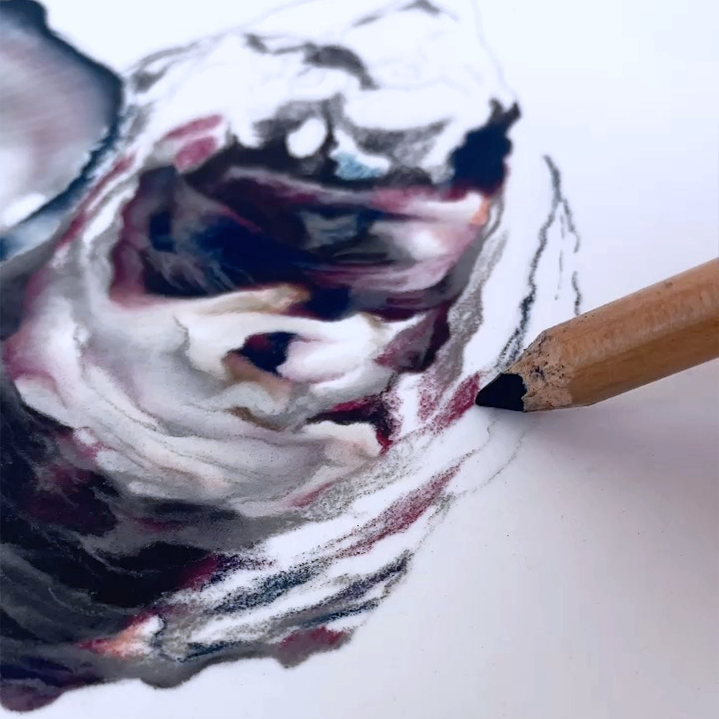 Oyster Artwork | Limited Edition Print