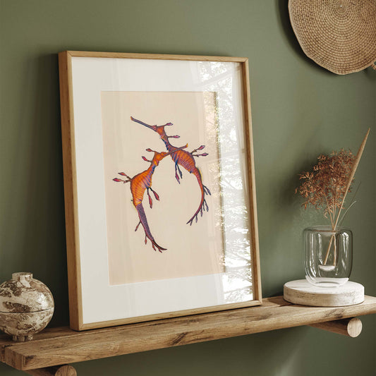 Weedy seadragon artwork. Pair of weedy sea dragons with eggs by Australian marine life artist Brittany March. 