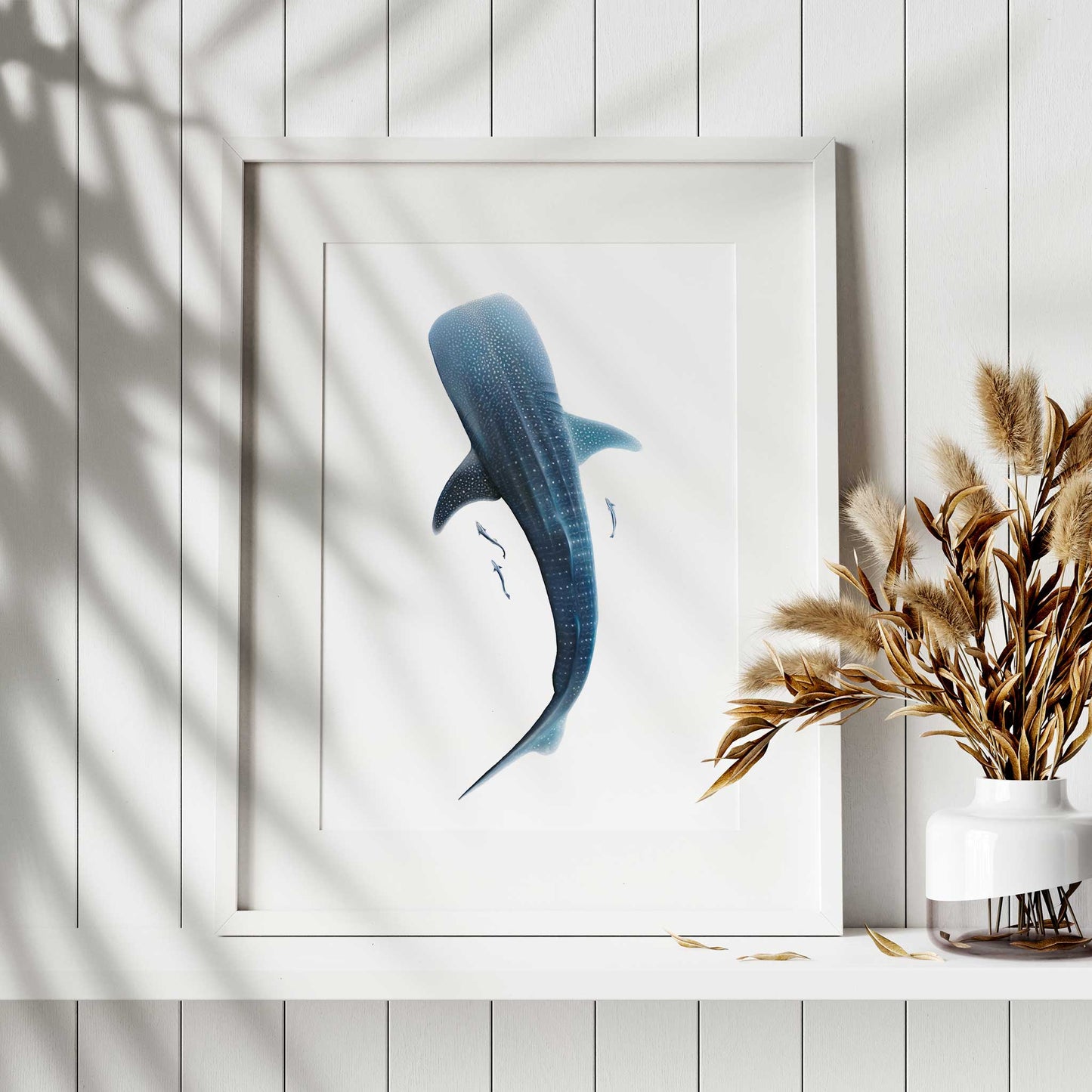 Whale Shark (Rhincodon typus) | Limited Edition Print