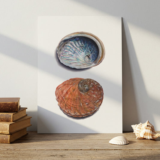 Abalone Shell Artwork | Limited Edition Print