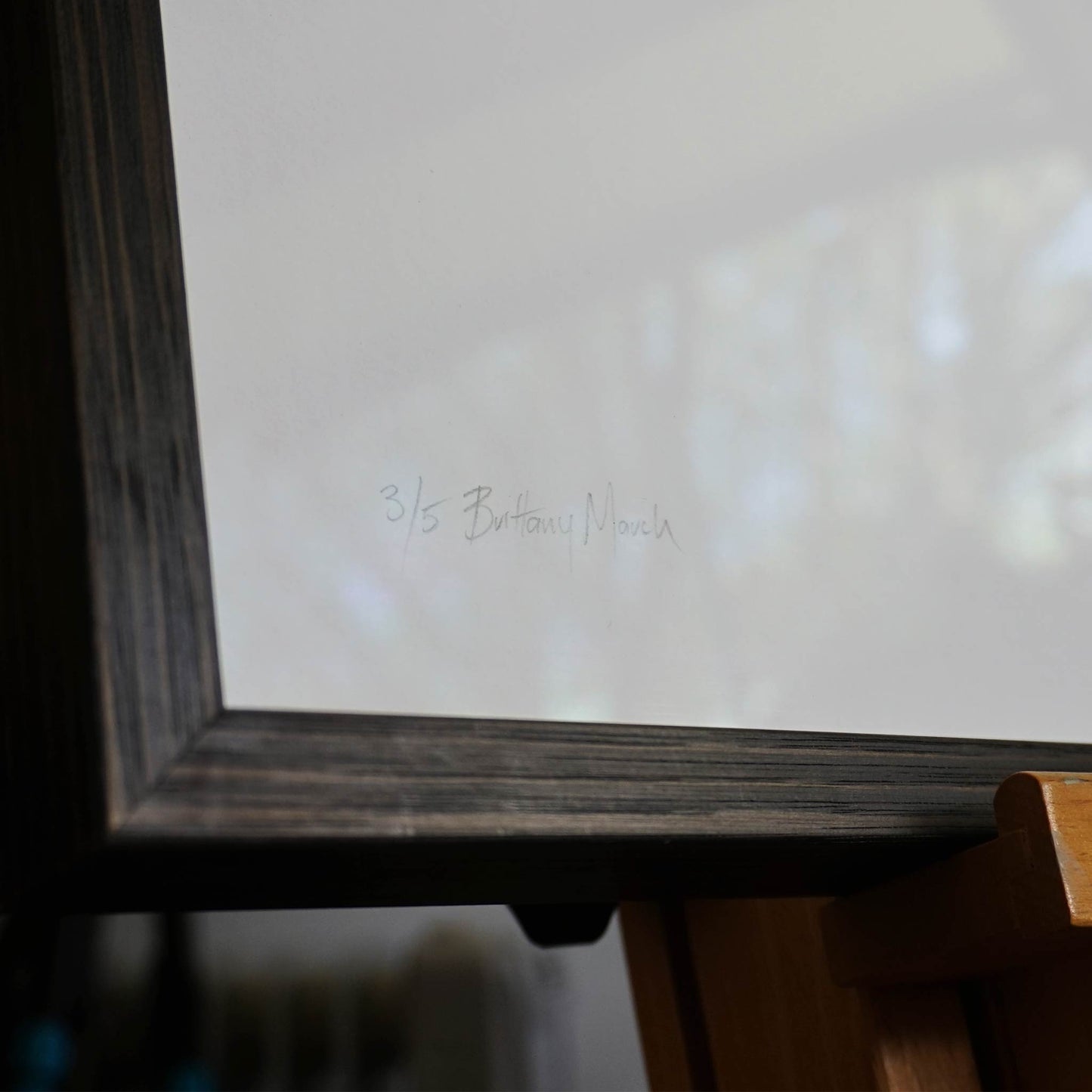 Humpback Whale - Professionally Framed Limited Edition Print