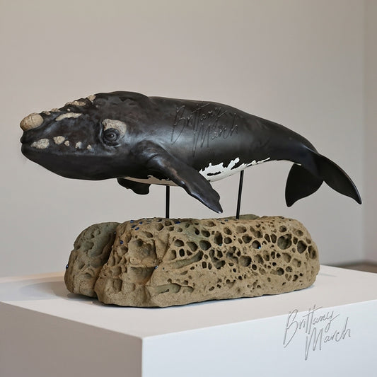 Southern Right Whale Sculpture