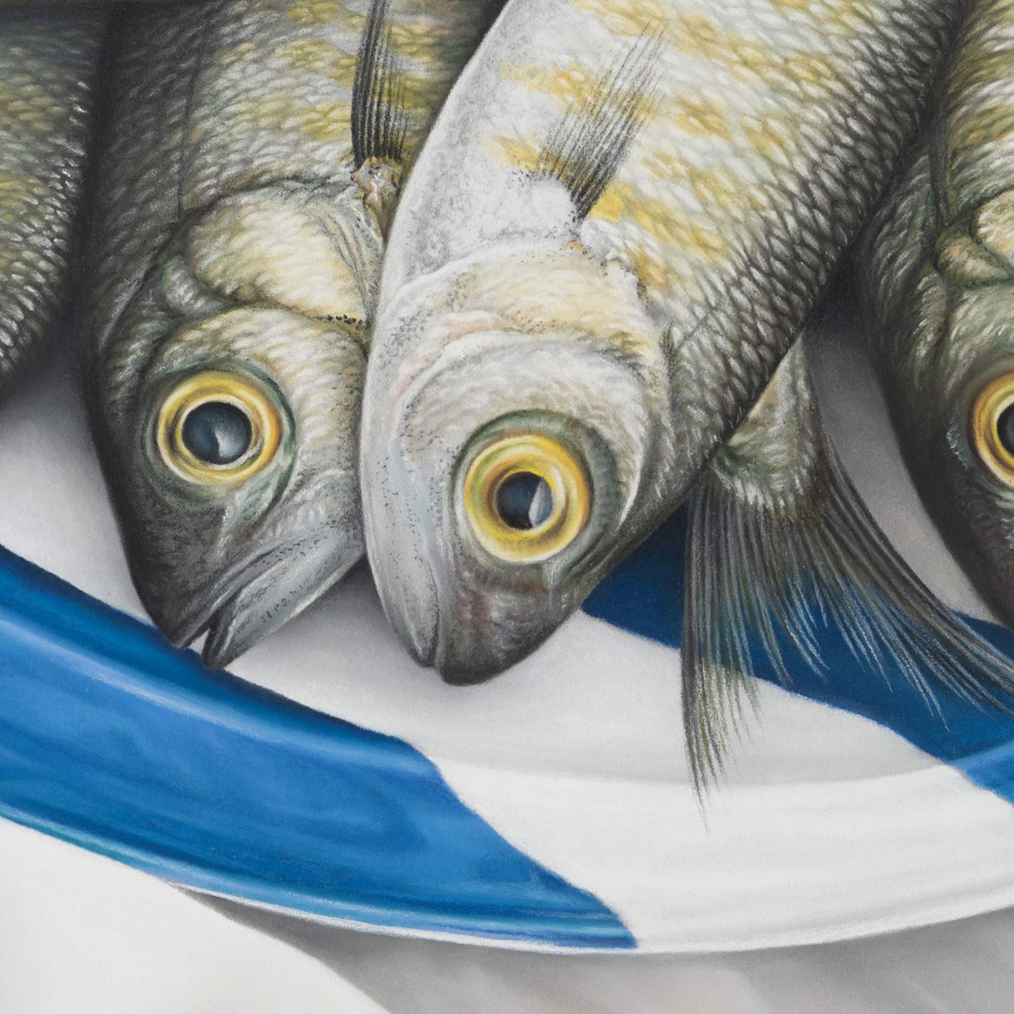 Tommy Ruff - Professionally Framed Limited Edition Print