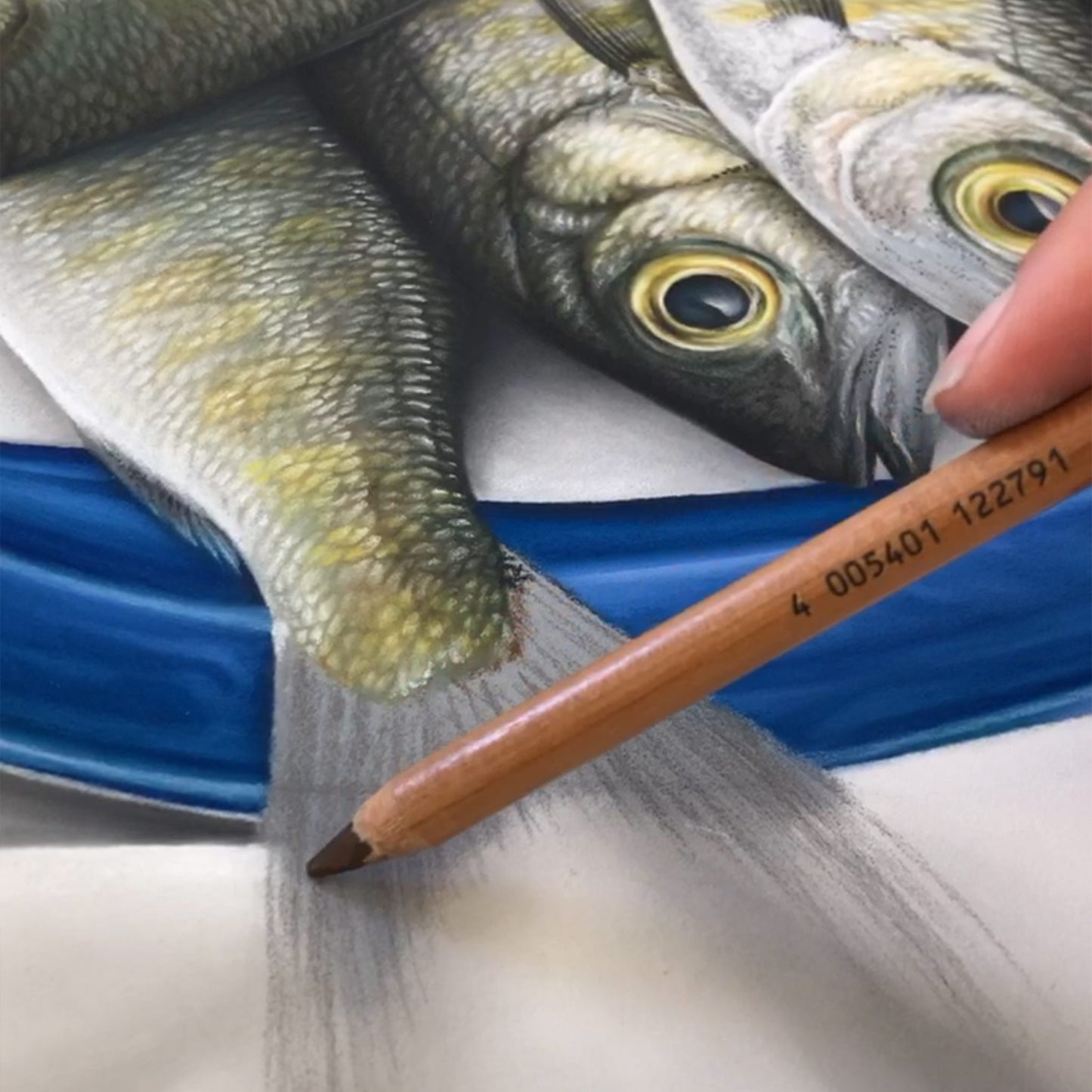 Tommy Ruff - Professionally Framed Limited Edition Print