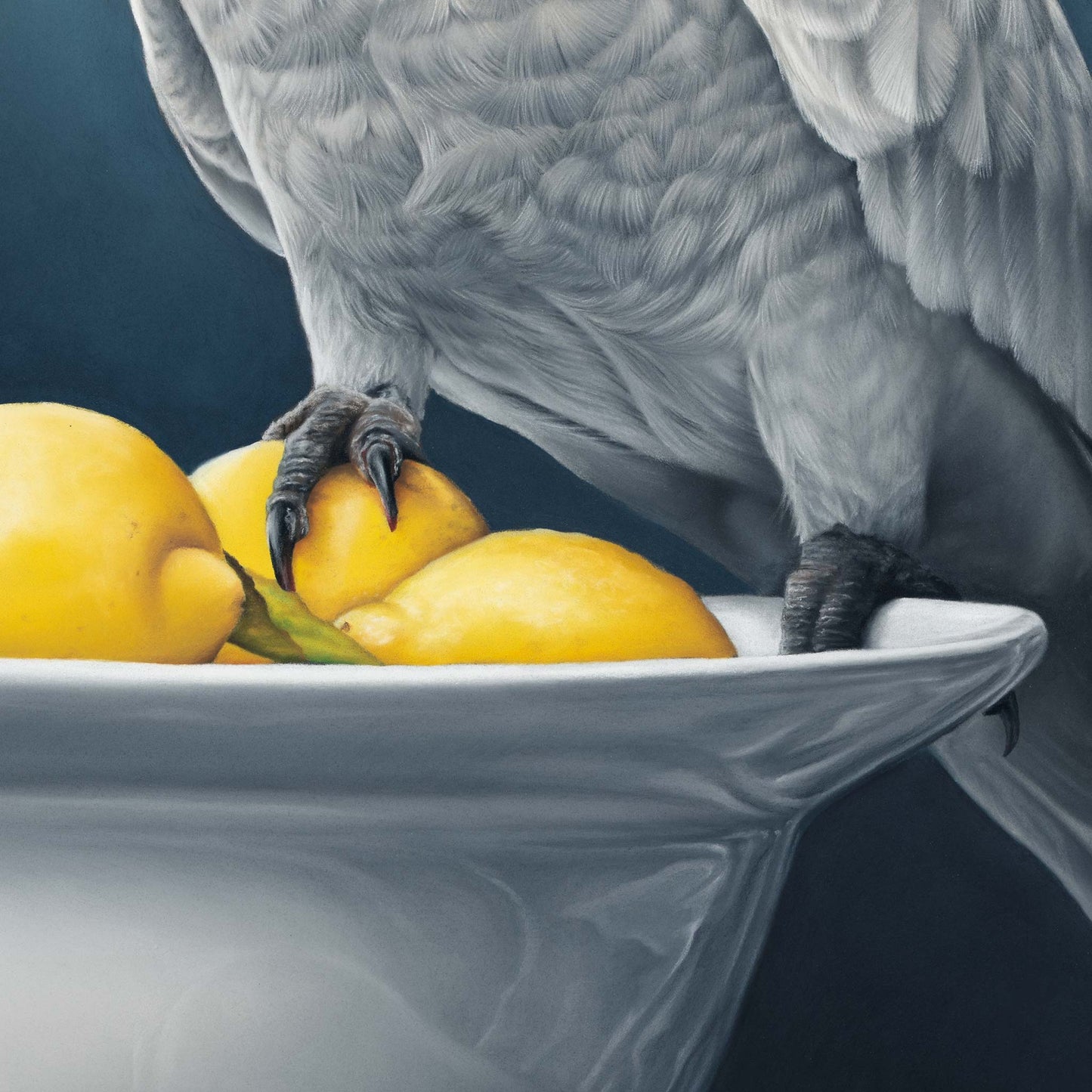 close up realism drawing of a white cockatoo sitting on a bowl of lemons